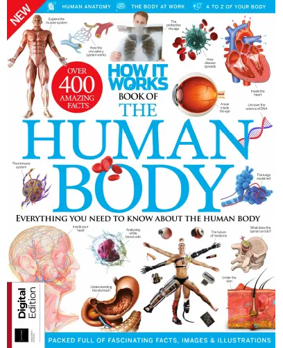How It Works – Book Of The Human Body, 20th Edition, 2023
