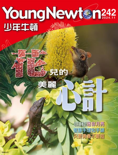 少年牛頓雜誌 2024年11月號NO.242