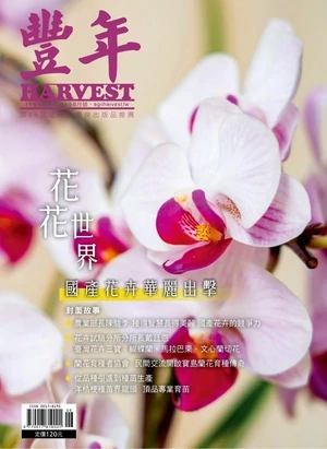 豐年月刊 2024年6月號