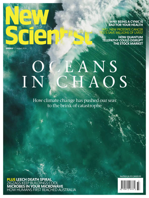 New Scientist International – 17 August 2024