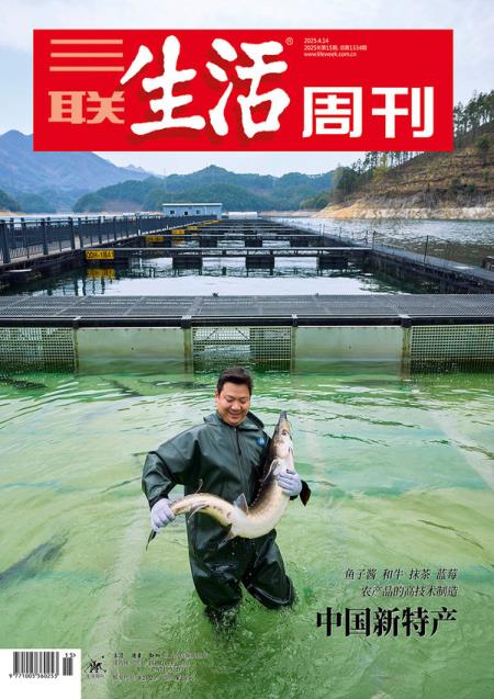 三联生活周刊2025年第15期