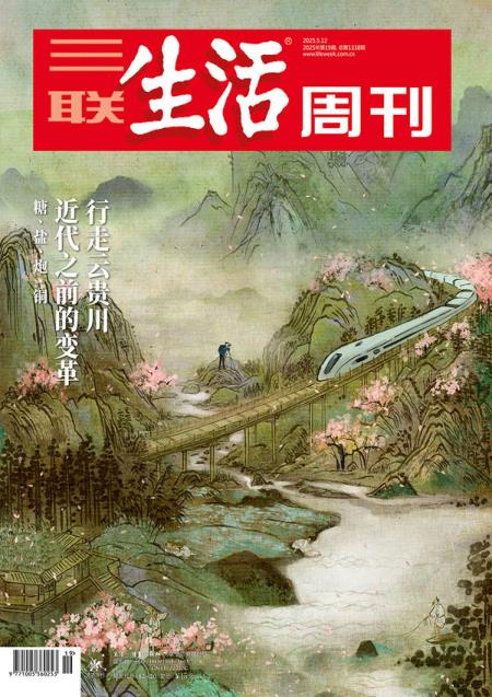 三联生活周刊 2025年19期