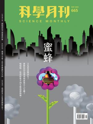  科學月刊 2025年5月號第665期 蜜蜂