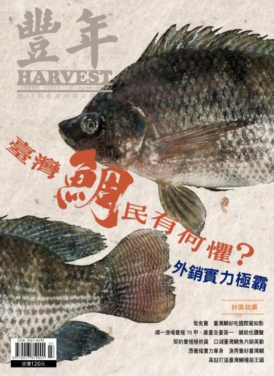豐年 2025年7月 臺灣鯛民有何懼？ 外銷實力極霸