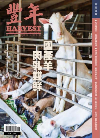 豐年 2025年9月 國產羊肉乳雙鮮