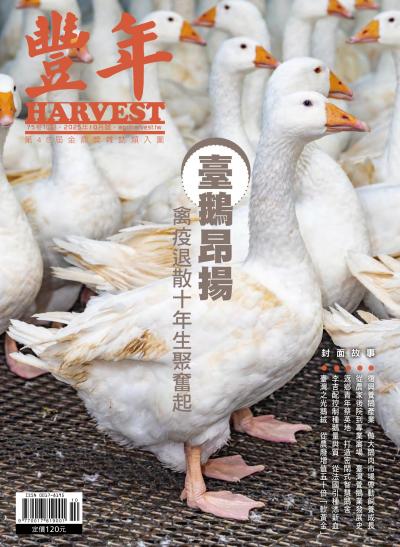 豐年 2025年10月 臺鵝昂揚　禽疫退散十年生聚奮起