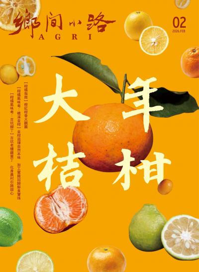 鄉間小路 2026年2月號 年柑大桔