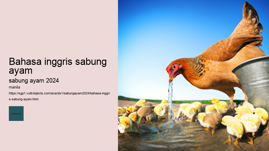 bahasa inggris sabung ayam