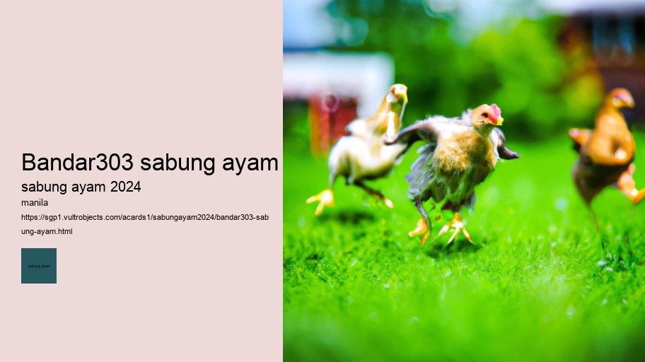 bandar303 sabung ayam
