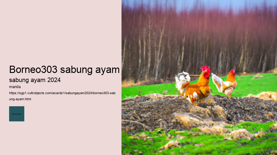 borneo303 sabung ayam