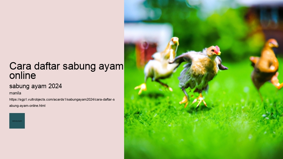 cara daftar sabung ayam online