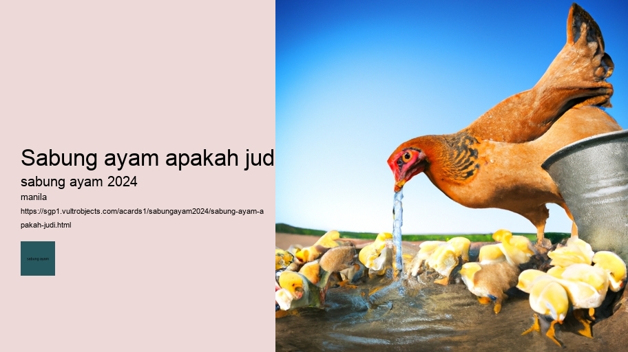 sabung ayam apakah judi