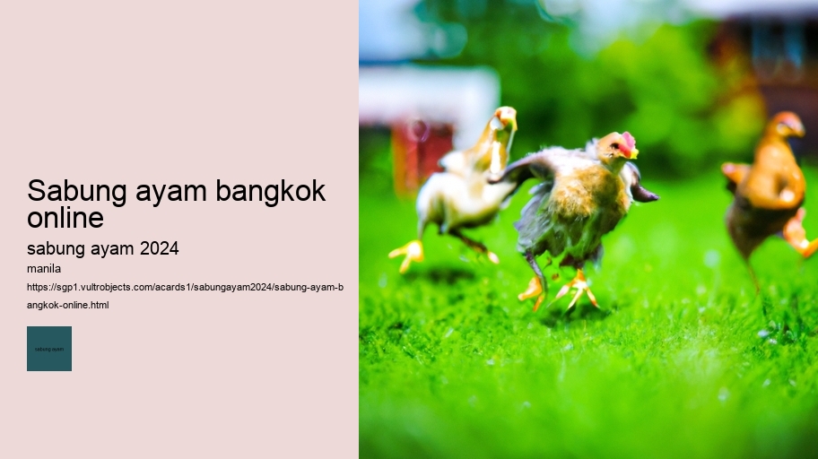 sabung ayam bangkok online