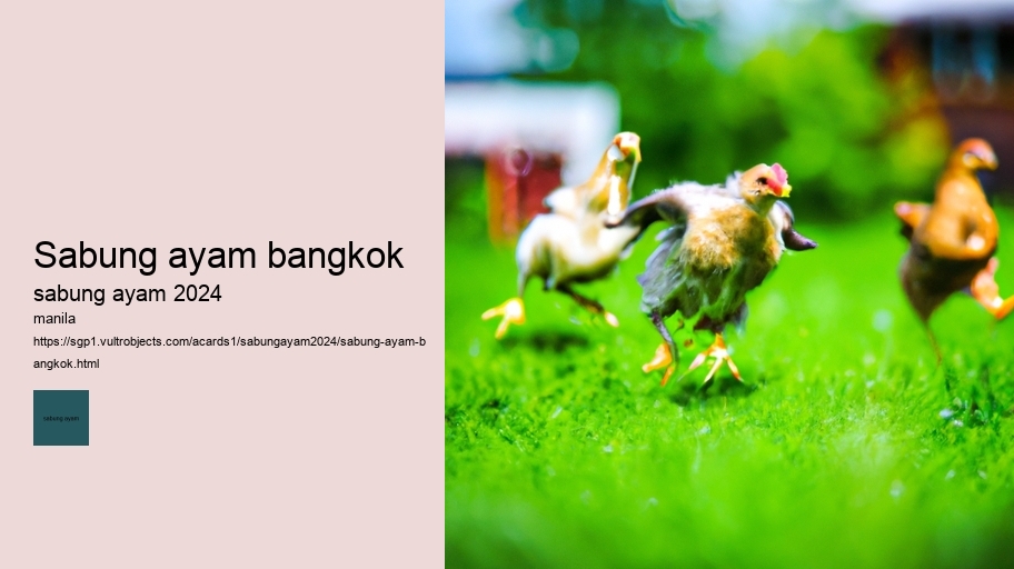 sabung ayam bangkok