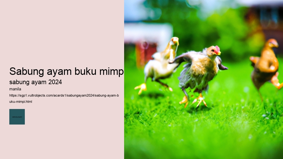 sabung ayam buku mimpi