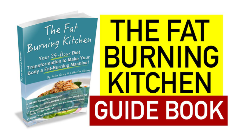 the fat burning kitchen book free download