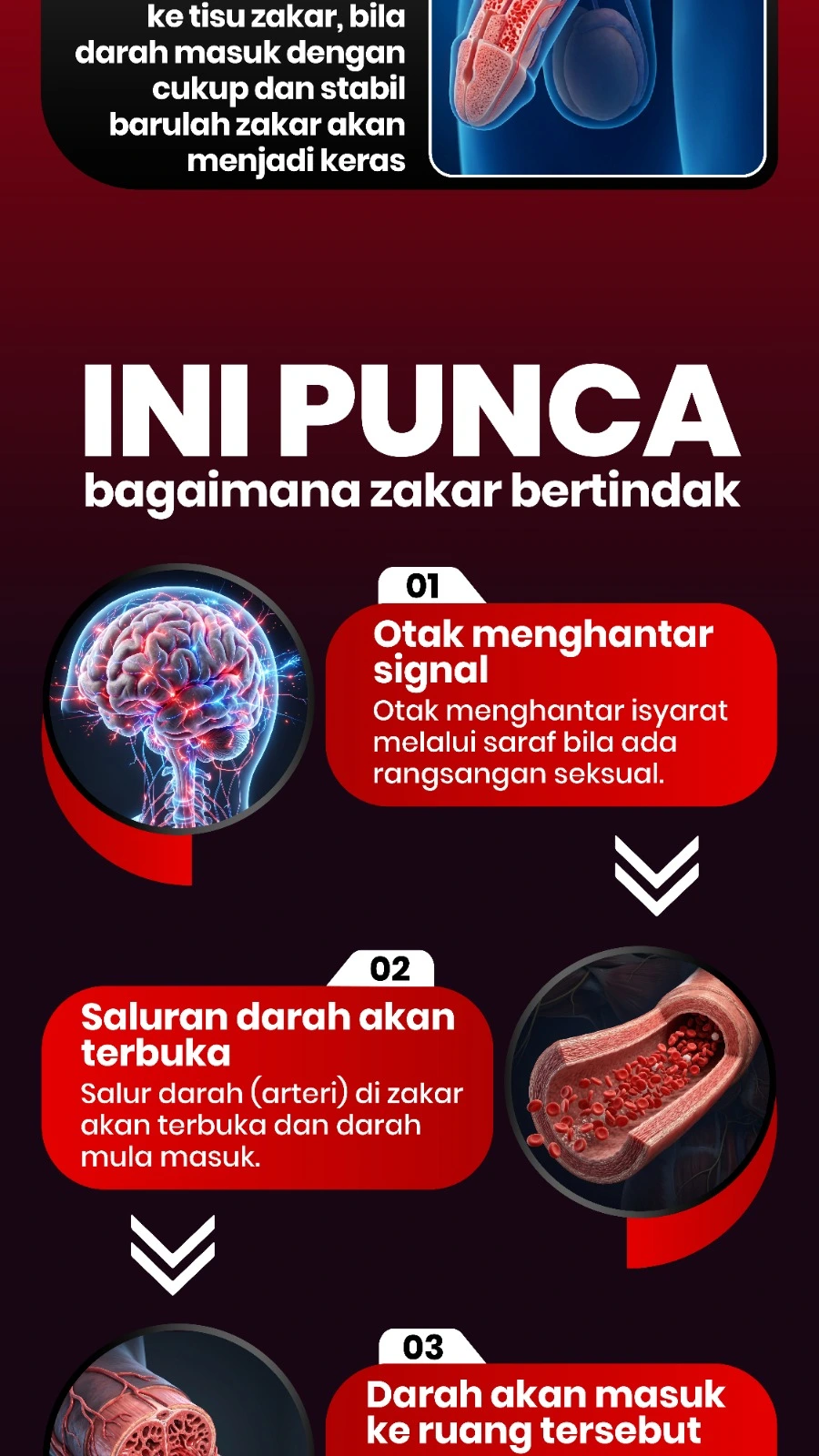 Full Width Image