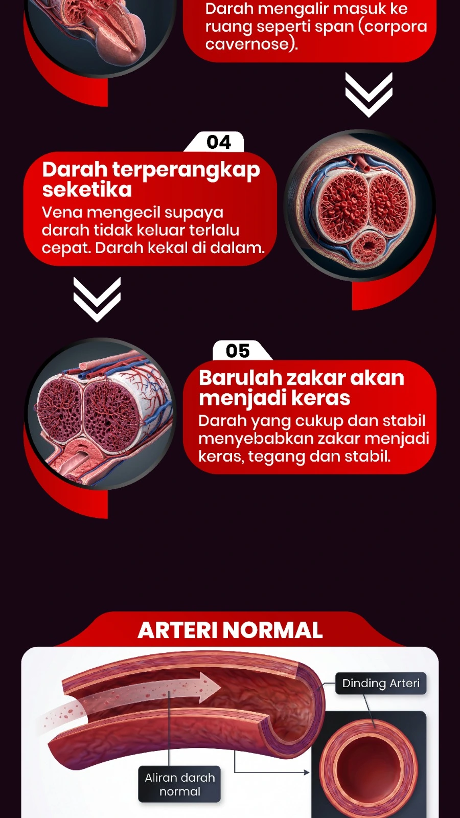 Full Width Image