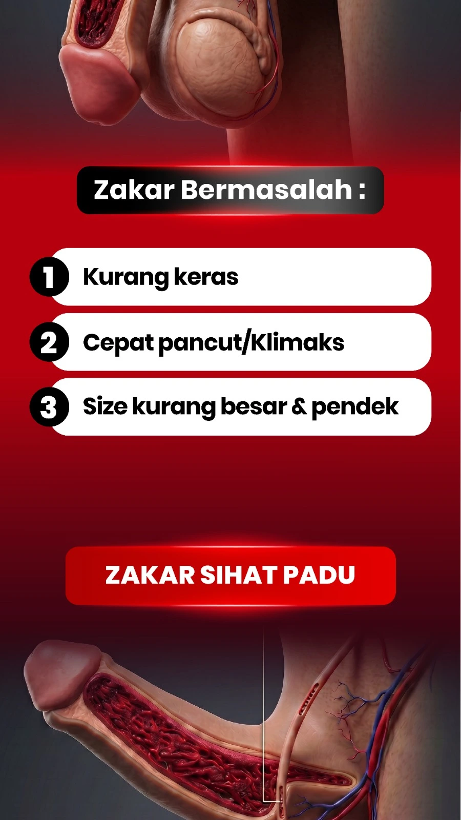 Full Width Image