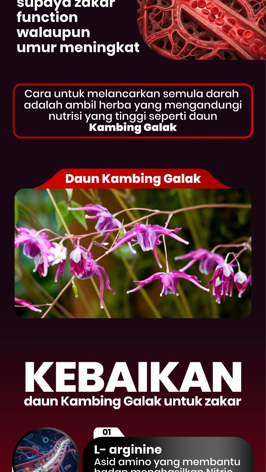 Full Width Image