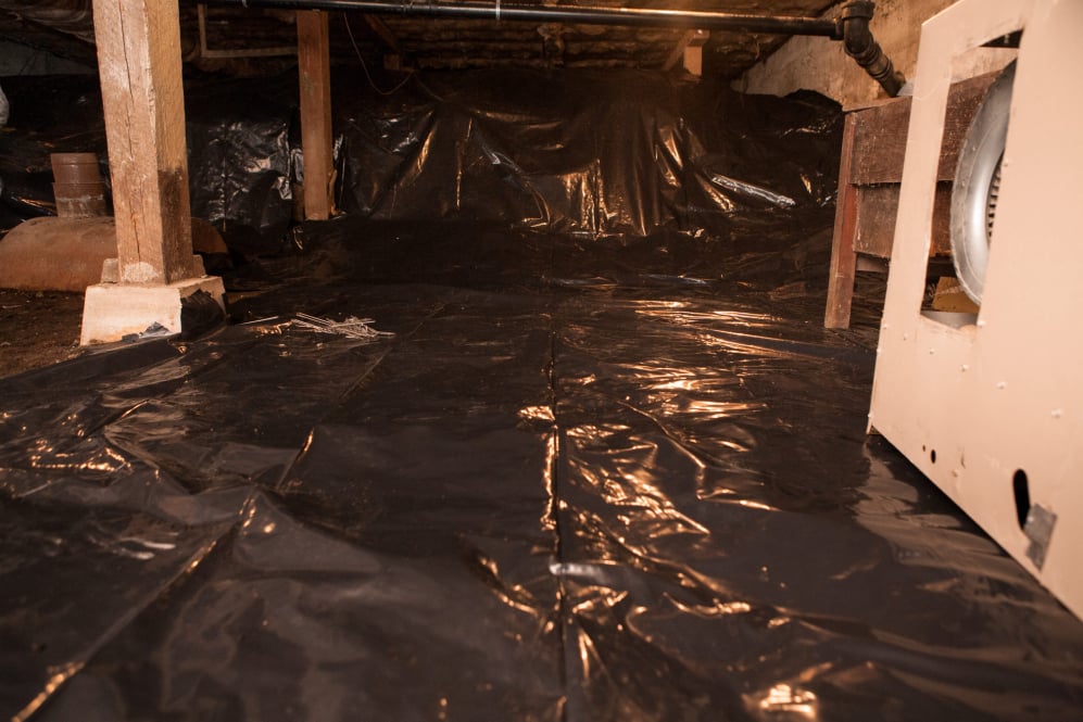 Crawlspace Repair Lugoff, South Carolina