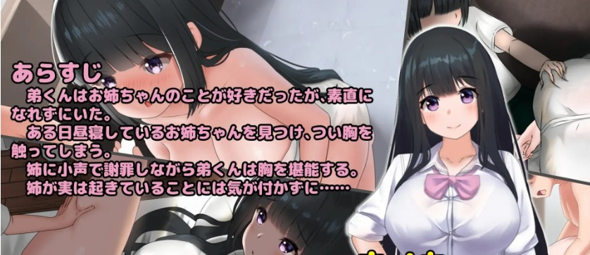 图片[2]-[互动触摸SLG/全动态]希望被弟袭击的姐姐 LIVE2D V1.01 步兵完全版[新作/CV][1.3G/百度]』-illusion中国 - - i社游戏-illusion中文汉化官方网站