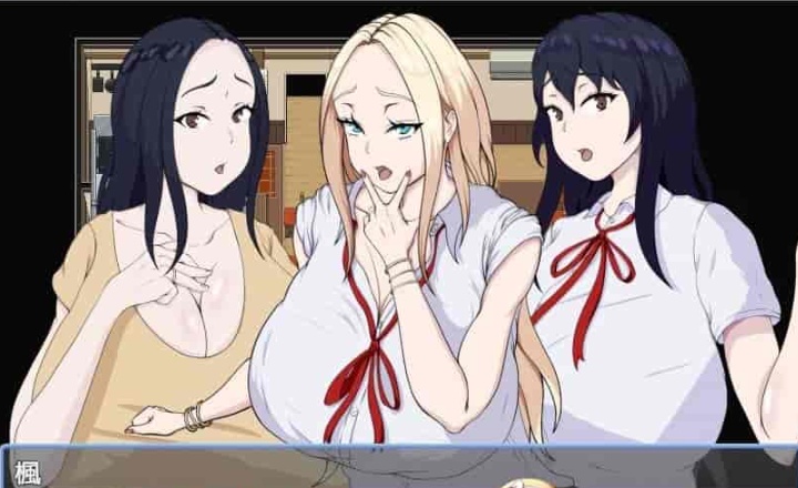 图片[3]-[日系RPG/汉化]色情商业街 机翻汉化版[PC+安卓][1.1G/百度]』-illusion中国 - - i社游戏-illusion中文汉化官方网站