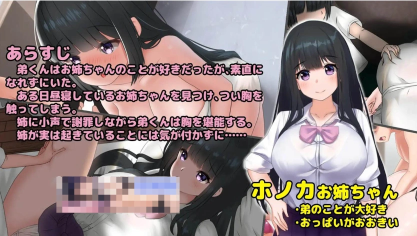图片[2]-【互动触摸SLG/生肉/全动态】希望被弟袭击的姐姐 LIVE2D V1.04 步兵完全版【1.3G/CV/更新】-illusion中国 - - i社游戏-illusion中文汉化官方网站