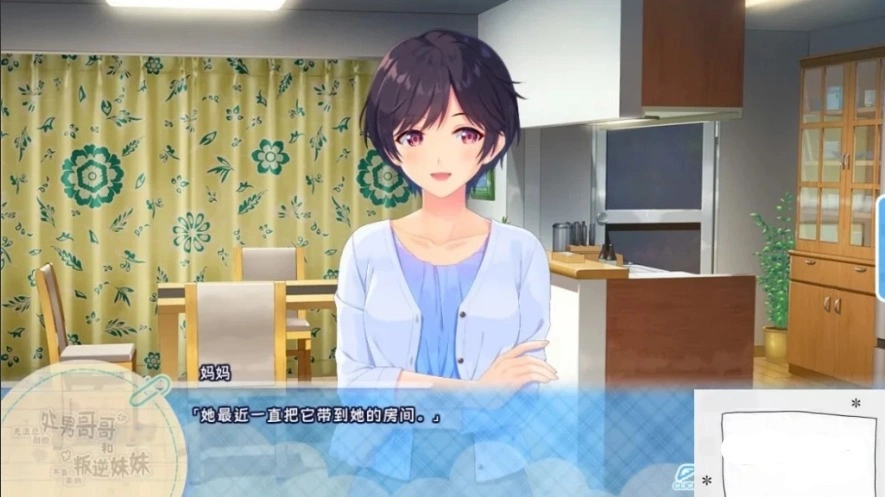 图片[3]-【PC/2D/RPG/中文】童貞兄妹:无法忍耐的哥哥和不直率叛逆妹妹官中+END【3.2G】-illusion中国 - - i社游戏-illusion中文汉化官方网站