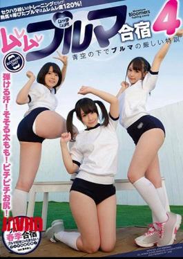 Mosaic GVG-646 Muremare Bulma Camp 4