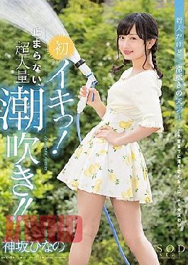 Mosaic STAR-801 Hinako Kamisaka's First Lucky!Do Not Stop, Super Large Squirt! It Is!