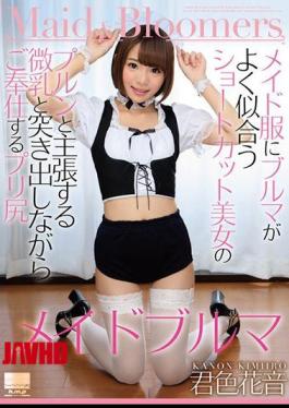 Mosaic HODV-21252 Bloomers Match Well With Maid Clothes Shortcuts Claiming To Be A Beautiful Woman's Prong And Serve While Sticking Out With Pretubes Maid Bloomers Color Flower Sounds