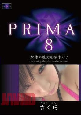 PRML-008B Sakura – PRIMAL8 Exploring the charm of a woman