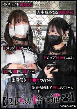 Mosaic VRNC-053 Slim Milk Princess