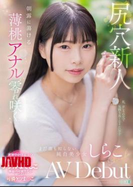 MISM-412 Anal Newcomer: A Pale Peach Anal Melts In The Morning Dew, Blooming, Pure White Beauty Who No One Knows About, Shirako AV Debut