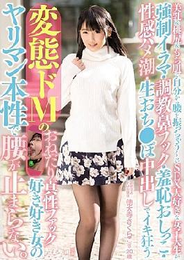 Mosaic MISM-051 Breasts & Ass And Your Begging Intrinsic Fuck Of Iki Crazy Transformation De M Much Will Shake The Waist From His SEX Favorite College Student In Forced Irama-Torture Nose Hook Shame Pee-erogenous Saddle Tide, Raw Fell Port Cum In Soft Skin It Does Not Stop Waist Bimbo Nature Of Matter Of Taste Woman.