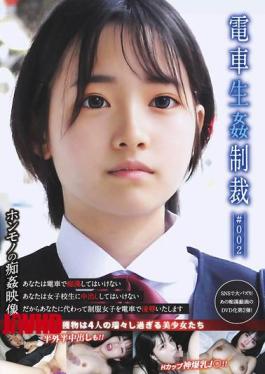 YDNS-002 Train Sex Punishment #002