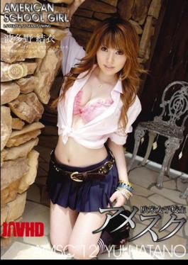 Mosaic XND-012 Amesque 12