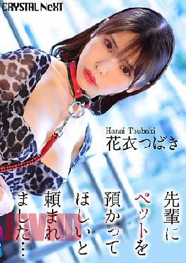 CRNX-254 4K My Senior Asked Me To Take Care Of His Pet Hanagoromo Tsubaki