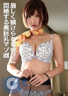PYU-446 A Beautiful Big Masochist Female Who Faints In Agony With The Pleasure Of Being Strictly Disciplined 