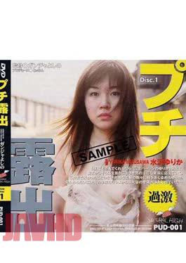 PUD-001 An Exposure Petit