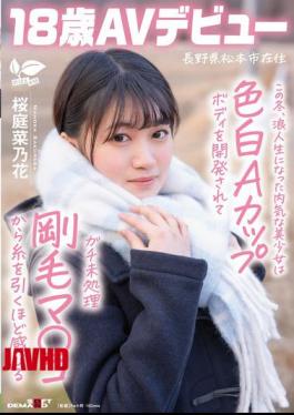 SDAB-334 This Winter, This Shy Beautiful Girl Who Became A Ronin Student Has Her Fair-skinned A-cup Body Developed And Feels So Good That Her Untrimmed Hairy Pussy Drips With Juices. Nanaka Sakuraba, 18, From Matsumoto City, Nagano Prefecture, Makes Her AV Debut.