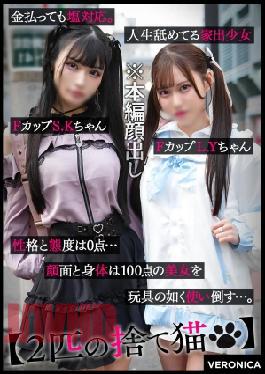 Mosaic VRNC-054 101 cm J-chan