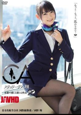 English Sub BF-240 Sho Nishino Et Al Intercourse 猥 Feel Stewardess, By Instinct Sho