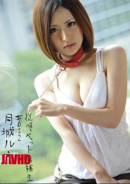 Mosaic INU-028 # 012 Candidates Pet Obedience Rene Castle Mon