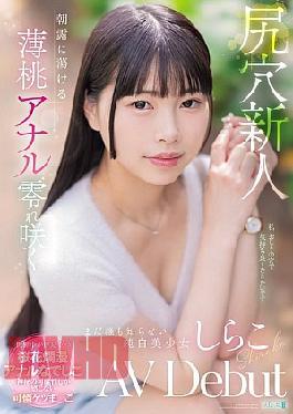 English Sub MISM-412 Anal Newcomer: A Pale Peach Anal Melts In The Morning Dew, Blooming, Pure White Beauty Who No One Knows About, Shirako AV Debut
