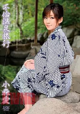 Mosaic DV-1420 Komori love affair hot spring trip