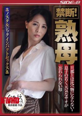 Mosaic NSPS-539 Forbidden! Mature Mother Ayako Inoue
