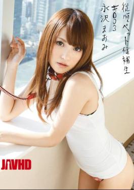 Mosaic INU-012 Mao Himself Nagasawa # 003 Candidates Pet Obedience