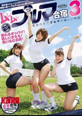 Mosaic GVG-547 Muremare Bulma Camp 3